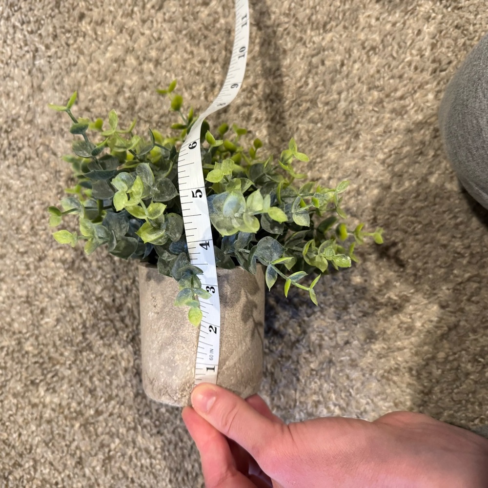 3 faux plants - Picture 4 of 4